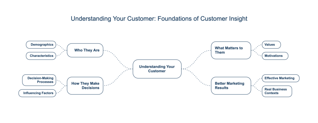 Customer insight framework showing how demographics, decision-making, values, and motivations influence effective marketing.